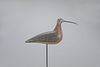 Hollow Coffin Curlew Decoy by Charles F. Coffin (1835-1919)