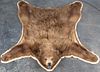 A Taxidermy Bear Rug, 6 feet x 5 feet.