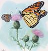 Don Balke (B. 1933) "Monarch Butterfly"