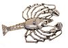Sterling Silver Lobster Pin H 3.5'' W 2.5''