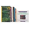 Hemerocallis the Daylily / The Color Encyclopedia of Daylilies / Annuals: 1001 Gardening Questions Answered / Modern Miniature Da...