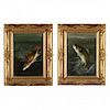 Harry Driscole (NY, 1861-1923), Pair of Fish Portraits