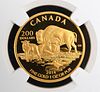 The Bison 2014 Canada Gold Coin