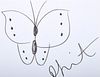 Damien Hirst Butterfly Sketch