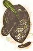 Elizabeth Murray "Black Cup" Lithograph, Signed Edition, 58"H