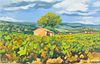 Illegibly Signed, French Vineyard, Oil on Canvas