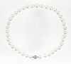 Platinum Diamond Cultured Pearl Necklace