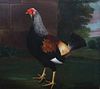  PORTRAIT OF A COCKEREL WITH TRIMMED FEATHERS OIL PAINTING