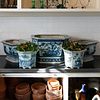 Group of Five Chinese Blue and White Porcelain Jardinieres