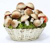 Italian Hand-Painted Ceramic Basket of Mushrooms