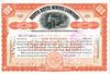 1905 North Butte Mining Co. of Minnesota Stock Certificate 