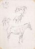 Focke, Wilhelm H. 1878 - Bremen - 1974. 2 pencil drawings/solid paper, horse studies, verso horse