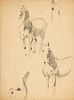 Focke, Wilhelm H. 1878 - Bremen - 1974. 4 fol. Horse studies, pencil/brown paper, 1910-40s,