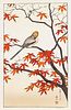 Enchi(active 1st half of 20th century): Shin-Hanga ''Momiji no Anragi'', Japan, 1st half 20th c., jap. woodblock print on paper, bird in red autumn le