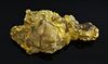 Gold nugget in original quartz matrix, gross weight 49.6 grams Length 4.6 x 2.6 cm