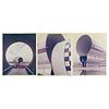 Aero Spacelines Super Guppy (6) Original Photographs