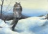 Edward DuRose Acrylic on Paper 'Owl' MN Artist