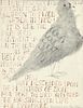 Ben Shahn Hand Signed Print "Bird, Behold,