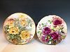 2 LARGE HAND PAINTED CONTINENTAL PORCELAIN FLORAL PLATES
