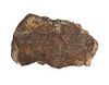 Northwest Africa (NWA) Chondrite Meteorite