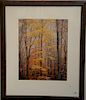 Christopher Burkett (1951) 
Cibachrome 
"Yellow Maple Forest and Light Virginia 1991"
printed 1991 print #38
signed in pencil