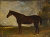 Portrait of a Horse