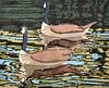 Neil Welliver CANADIAN GEESE Etching, Signed Edition