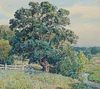 Wilson Irvine (1869-1936), View of an oak tree, Oil on canvas, 24" H x 27" W
