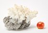 Large Aragonite Mineral Specimen
