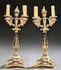 Pair of French Empire Style Gilt and Patinated Bro