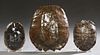Group of Three Turtle Shells, 20th c., consisting
