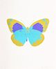 Damien Hirst THE SOULS II Butterfly Foil Print, Signed Edition