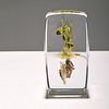 Paul J. Stankard Botanical / Root People Upright Paperweight