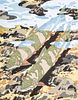 Neil Welliver TROUT Woodblock Print, Signed Edition