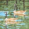 Neal Welliver GEESE Print, Signed Proof