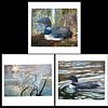Original Egrets / Ducks Paintings