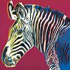 Andy Warhol "Grevy's Zebra" 1983 Trial Proof Silkscreen
