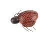 1930-50s Hand Carved Wood Lady Bug Fishing Decoy