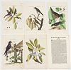 ASSORTED ORNITHOLOGICAL PRINTS, LOT OF FIVE