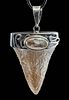 Mexican Opal, Silver, & Fossilized Shark Tooth Pendant