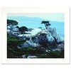 Robert Sheer, "Spirits Honoring the Lone Cypress" Limited Edition Single Exposure Photograph, Numbered and Hand Signed with Certificate of Authenticit