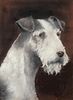 PORTRAIT OF A GREY AND WHITE TERRIER OIL PAINTING