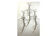 Group of 3 Metal Branches with Crystal Leaves Wired Wall Sconces