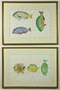 Pair of Tropical Fish Watercolors Initialed WW, dated 1988