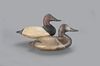 Canvasback Pair by William Heverin (1860-1951)