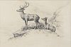 Aiden Lassell Ripley (1896-1969), Stag and Doe