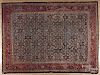 Semi-antique roomsize Persian carpet, 13'9'' x 10'7''.