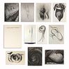 Georgia O'Keeffe (1887-1986) - Some Memories of Drawings - Collection of 10 Lithographs with Portfolio Case signed by O'Keeffe #156  (PDC91162A-0123-0