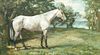 PORTRAIT OF A DAPPLE GREY WHITE HORSE OIL PAINTING