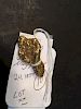 Natural Yellow Gold Nugget.  Weight: 24.39 grams